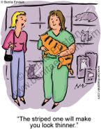 cat cartoon 1139