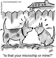 dog cartoon 1364