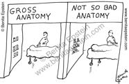 funny medical cartoon gross anatomy class 1515