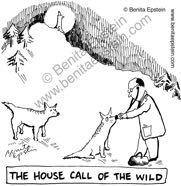 medical house call wolf doctor cartoon 1441