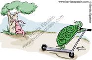 natural history cartoon 1210